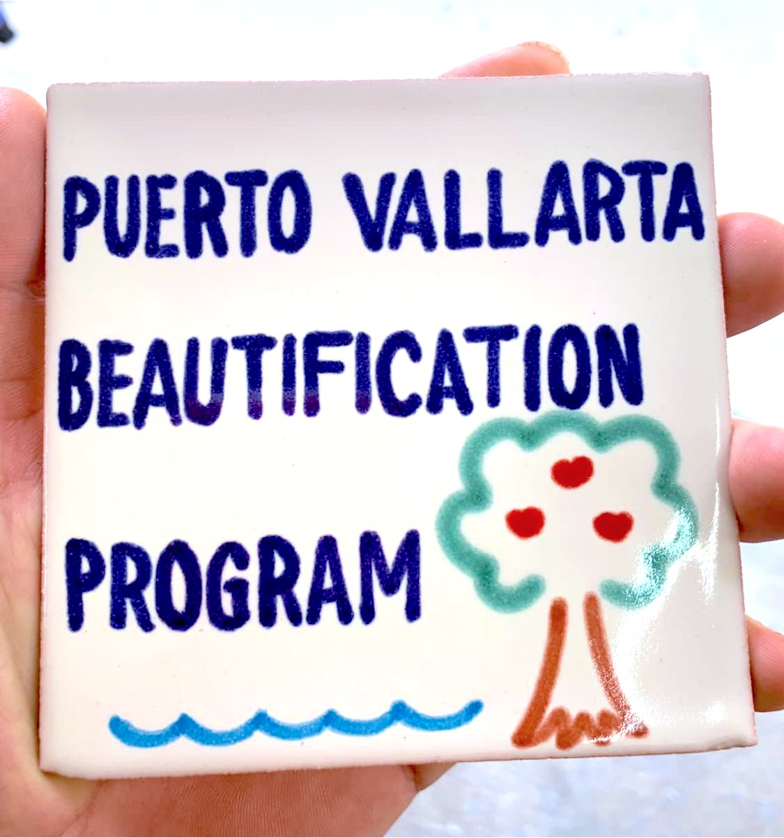 Puerto Vallarta Beautification Program Tip-Top Farm and Garden proceeds go to the Puerto Vallarta Beautification Program